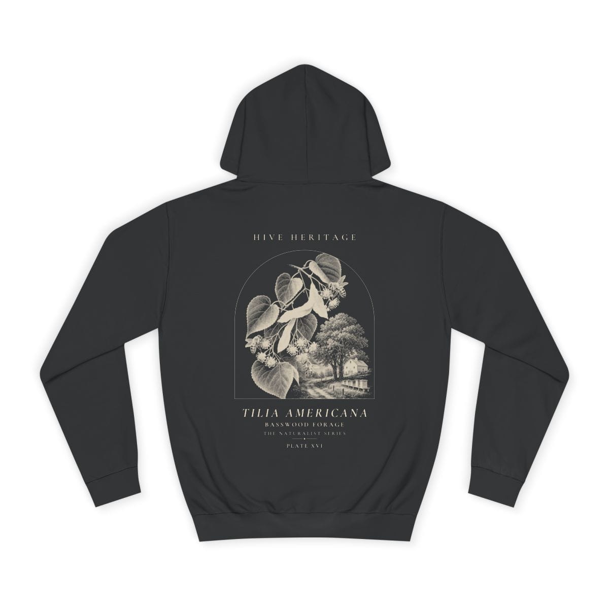 Basswood Forage - Naturalist Heavyweight Hoodie · Jet Black / S