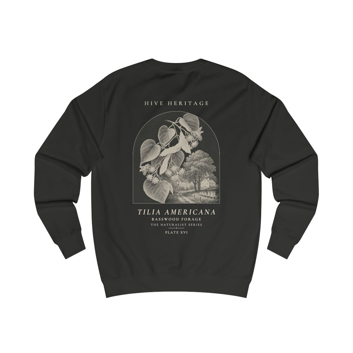 Basswood Forage - Naturalist Crew Sweatshirt in Jet Black
