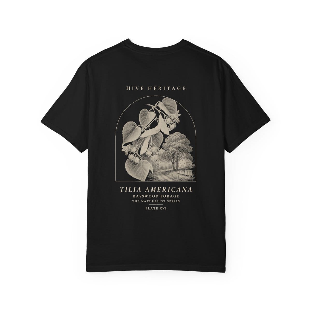 Basswood Forage - Naturalist Heavyweight T-Shirt · Black / S