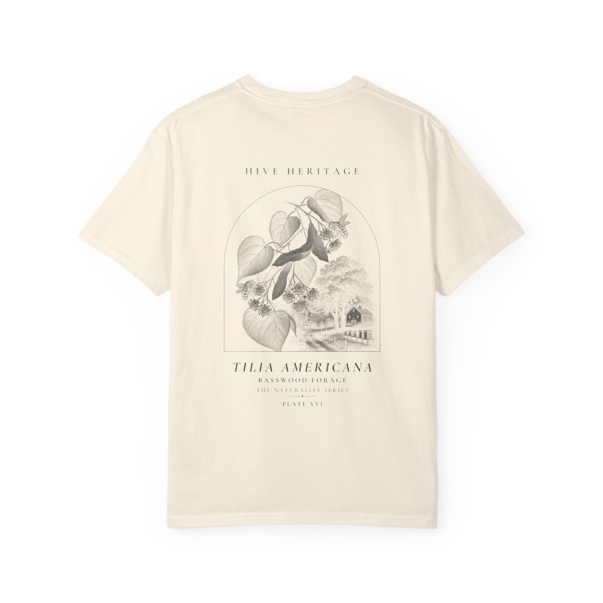Basswood Forage - Naturalist Heavyweight T-Shirt in Ivory