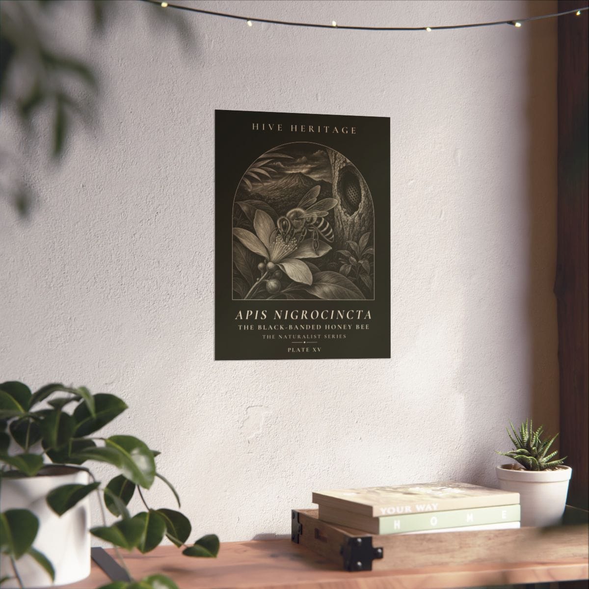 The Black-Banded Honey Bee Naturalist Print