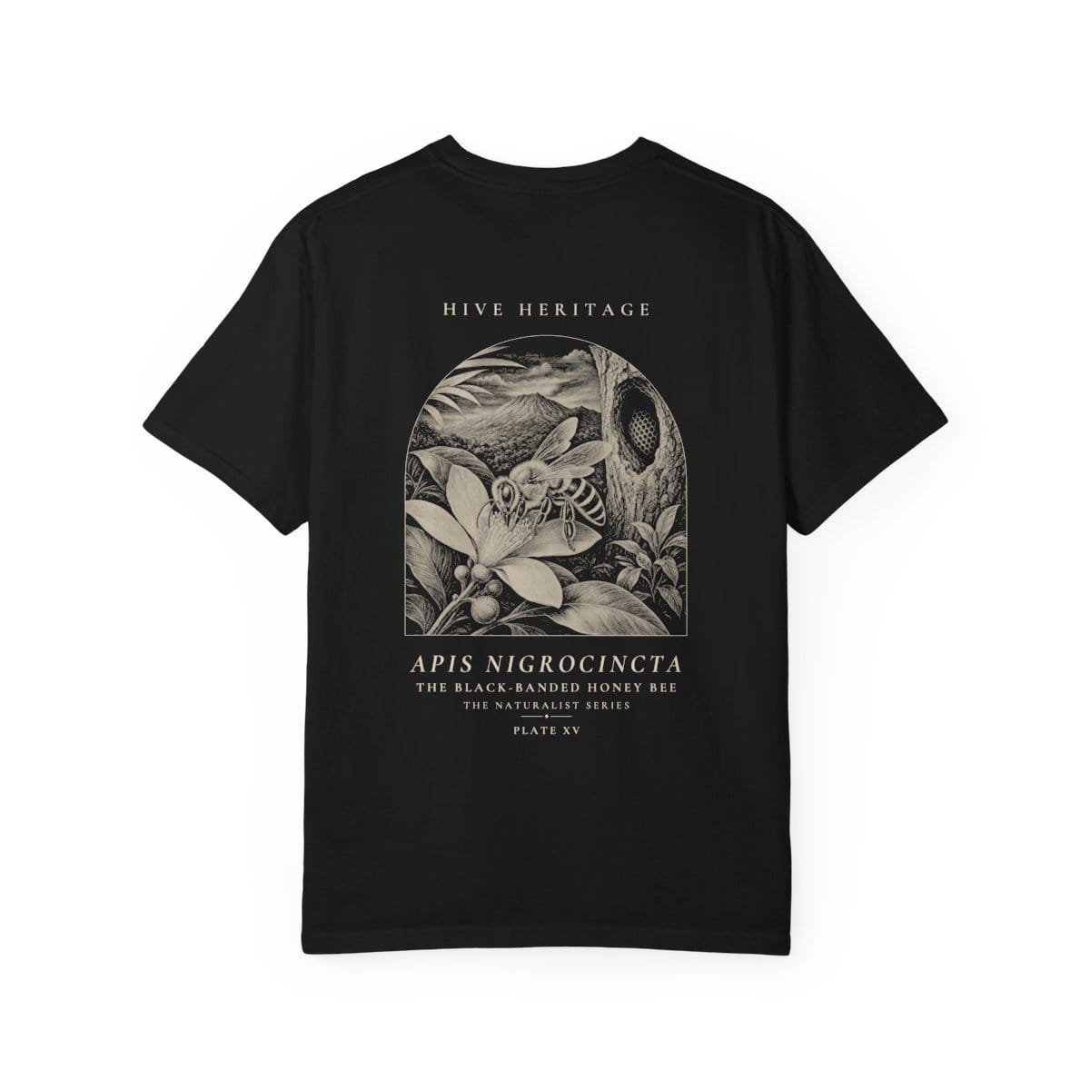 The Black-Banded Honey Bee - Naturalist Heavyweight T-Shirt in Black