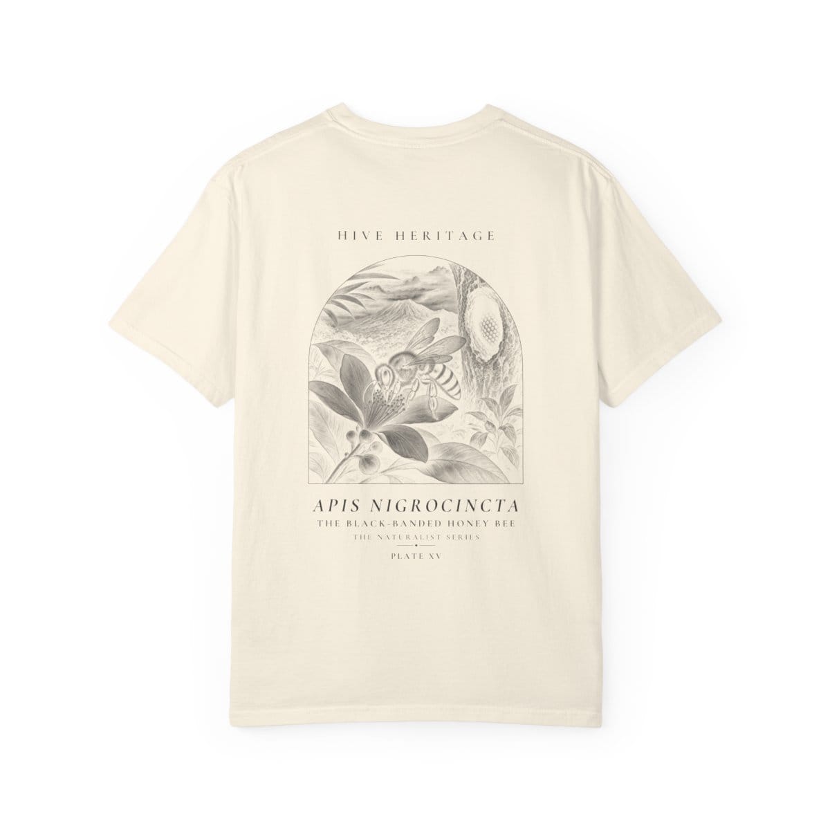 The Black-Banded Honey Bee - Naturalist Heavyweight T-Shirt in Ivory