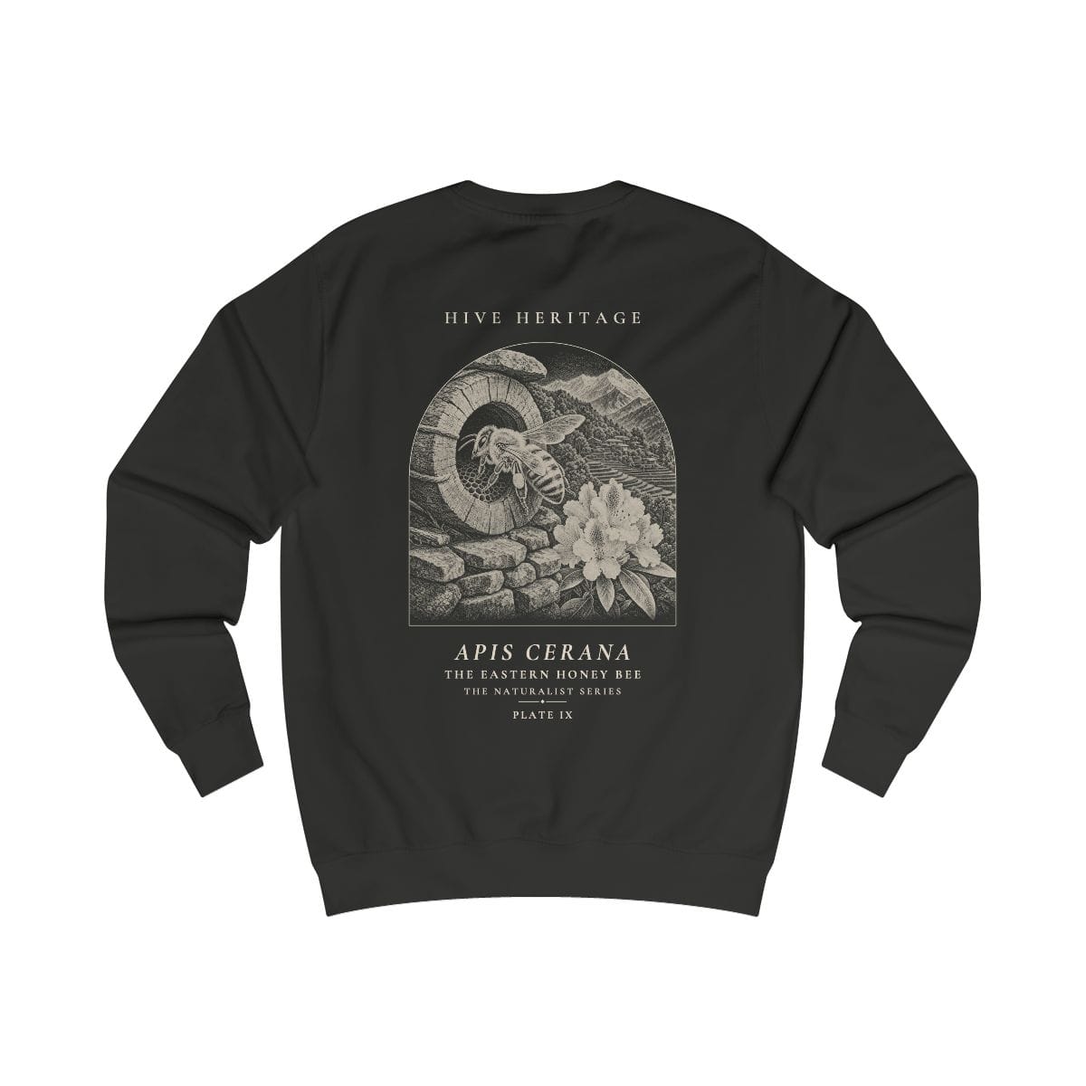 The Eastern Honey Bee - Naturalist Crew Sweatshirt in Jet Black