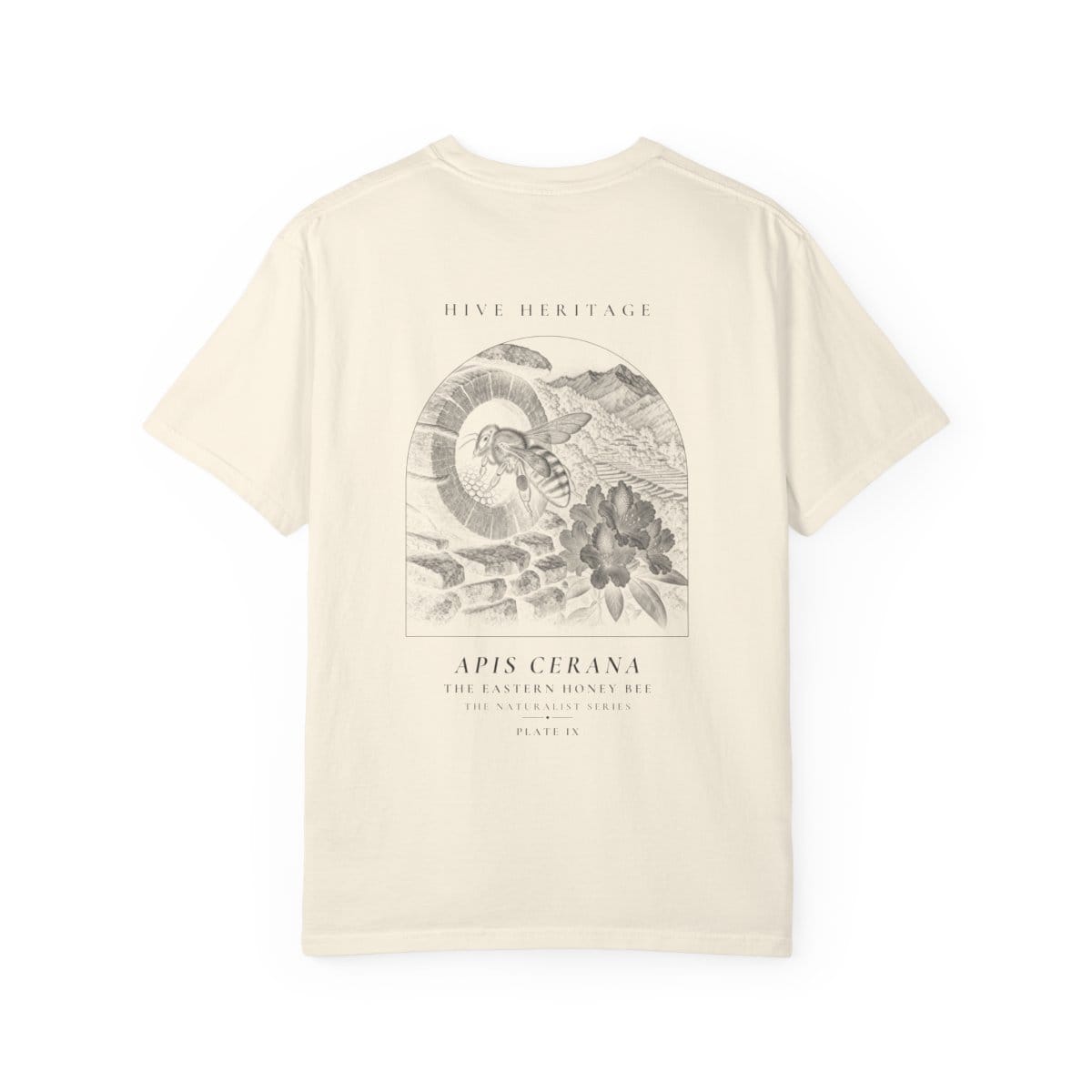 The Eastern Honey Bee - Naturalist Heavyweight T-Shirt in Ivory