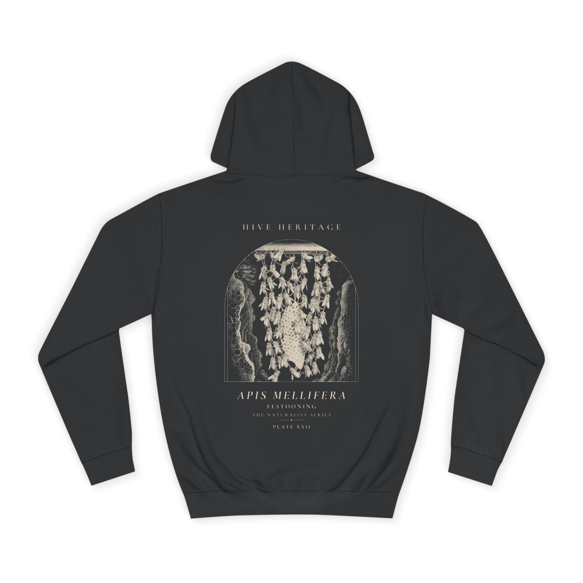 Festooning - Naturalist Heavyweight Hoodie in Jet Black