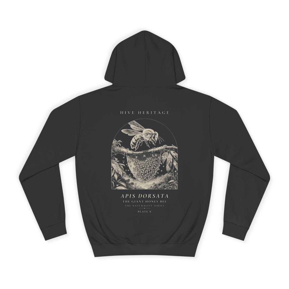 The Giant Honey Bee - Naturalist Heavyweight Hoodie in Jet Black