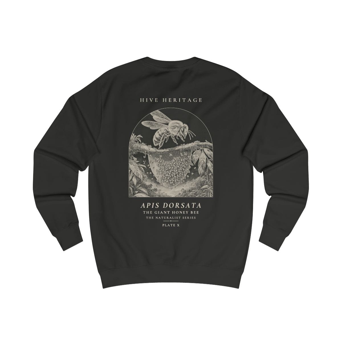 The Giant Honey Bee - Naturalist Crew Sweatshirt in Jet Black