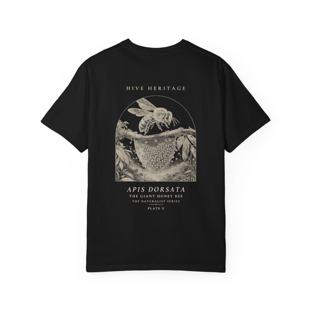 The Giant Honey Bee - Naturalist Heavyweight T-Shirt · Black / S