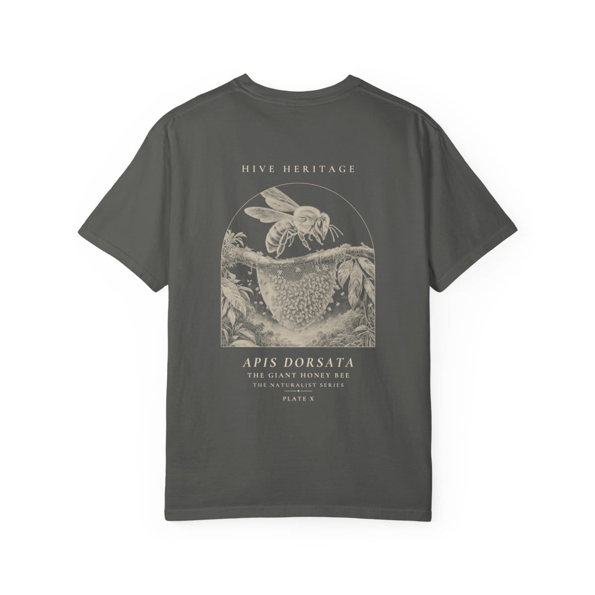 The Giant Honey Bee - Naturalist Heavyweight T-Shirt in Pepper