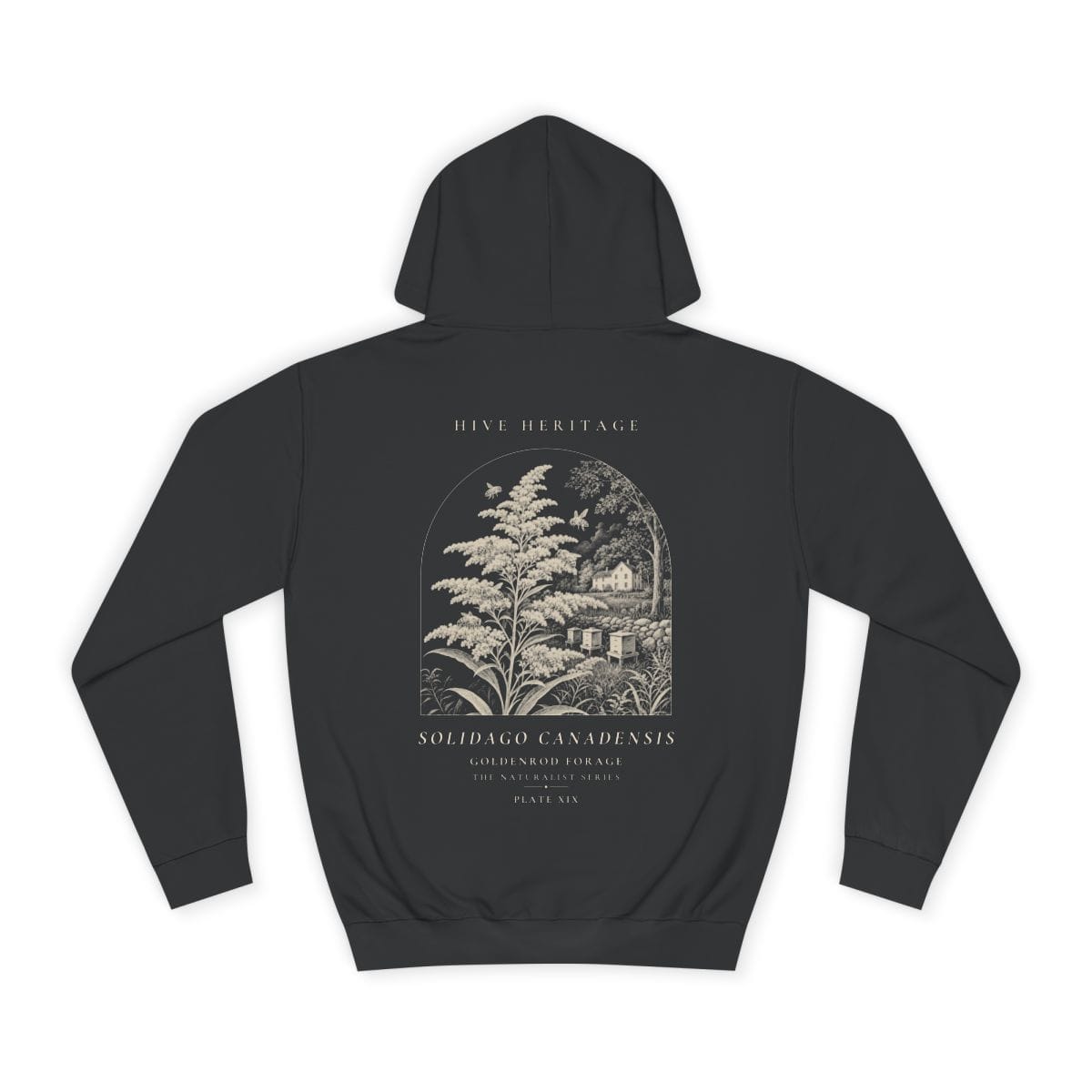 Goldenrod Forage - Naturalist Heavyweight Hoodie in Jet Black