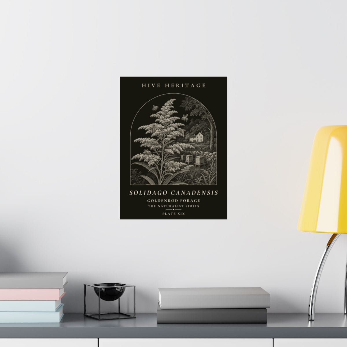 Goldenrod Forage Naturalist Print photograph 3