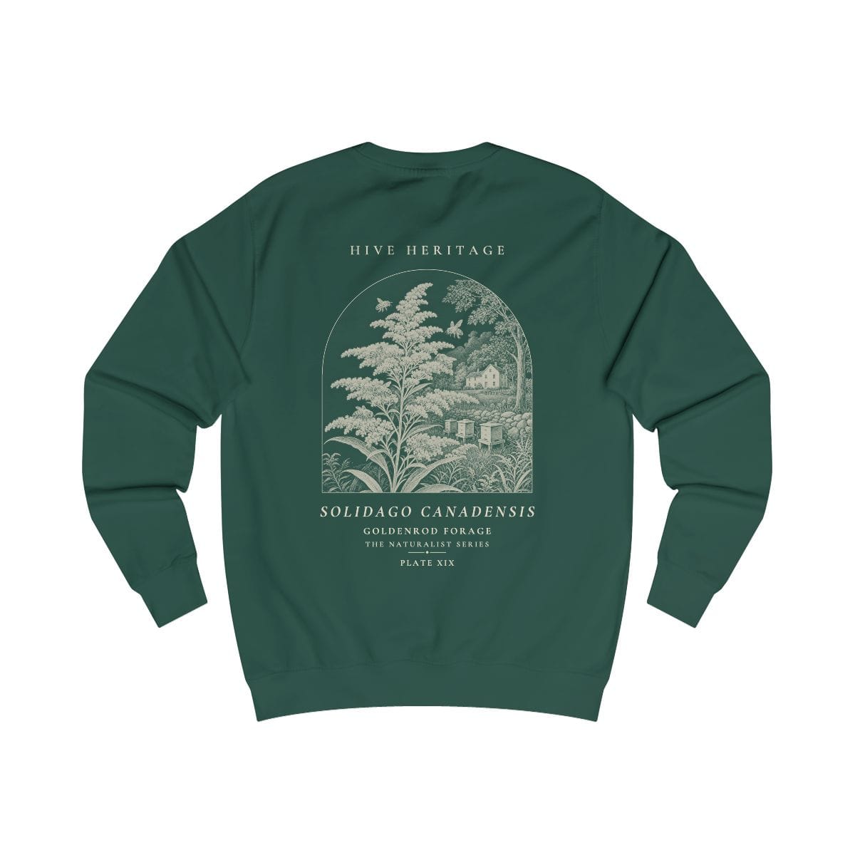 Goldenrod Forage - Naturalist Crew Sweatshirt in Bottle Green