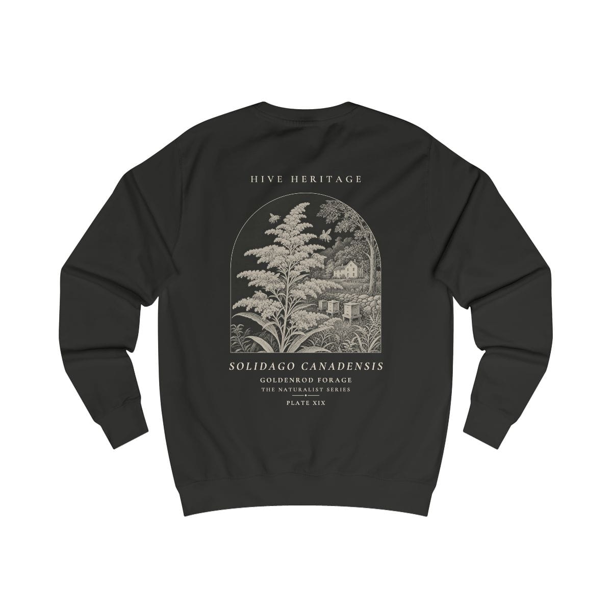 Goldenrod Forage - Naturalist Crew Sweatshirt in Jet Black