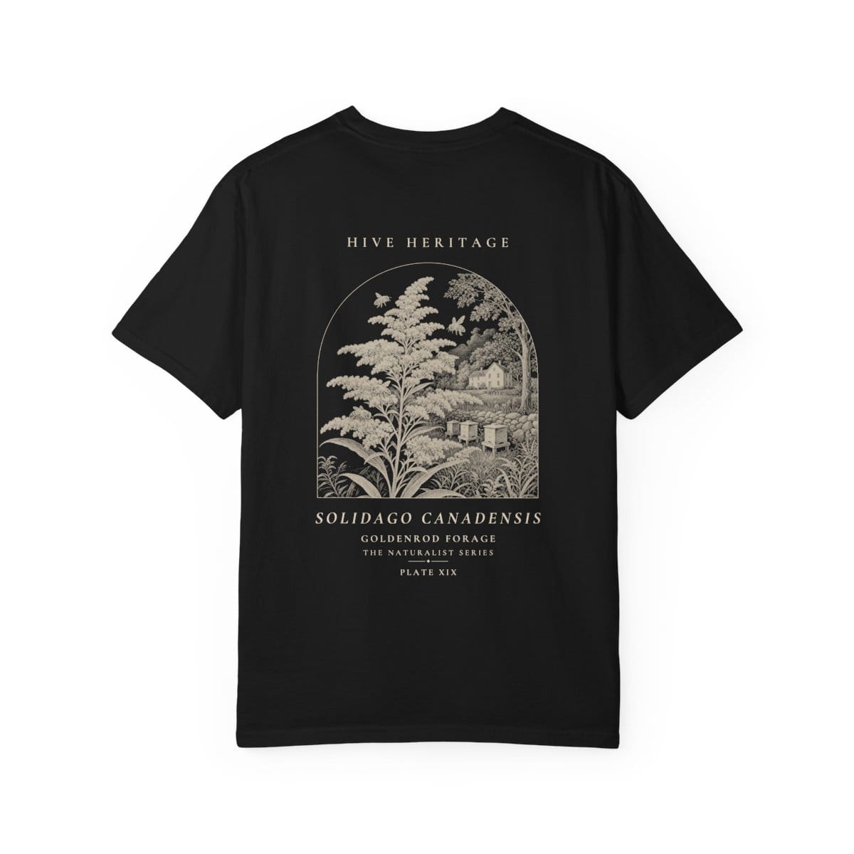 Goldenrod Forage - Naturalist Heavyweight T-Shirt in Black