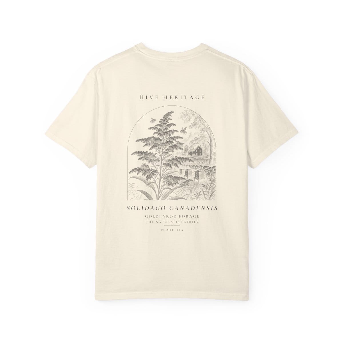 Goldenrod Forage - Naturalist Heavyweight T-Shirt in Ivory