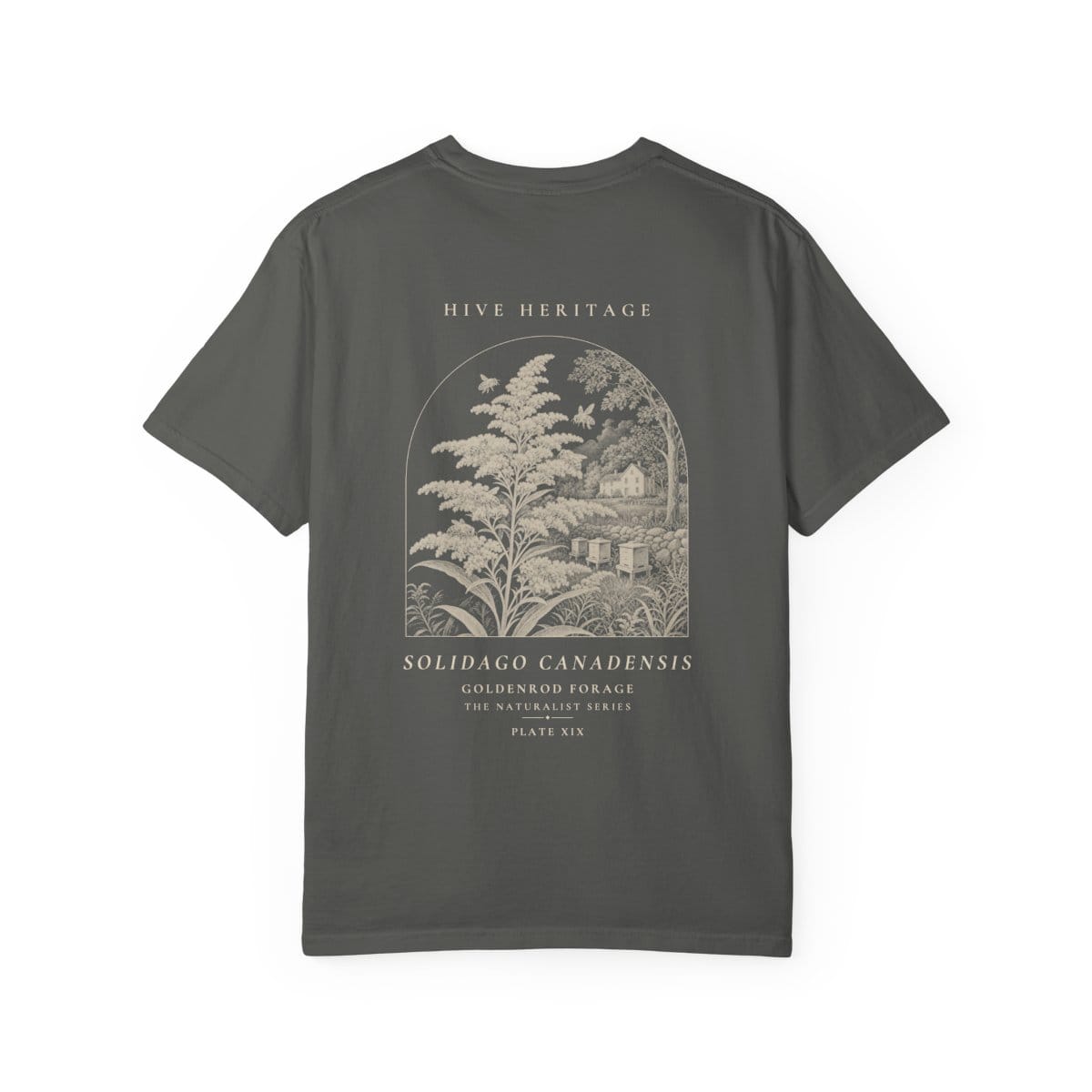 Goldenrod Forage - Naturalist Heavyweight T-Shirt in Pepper