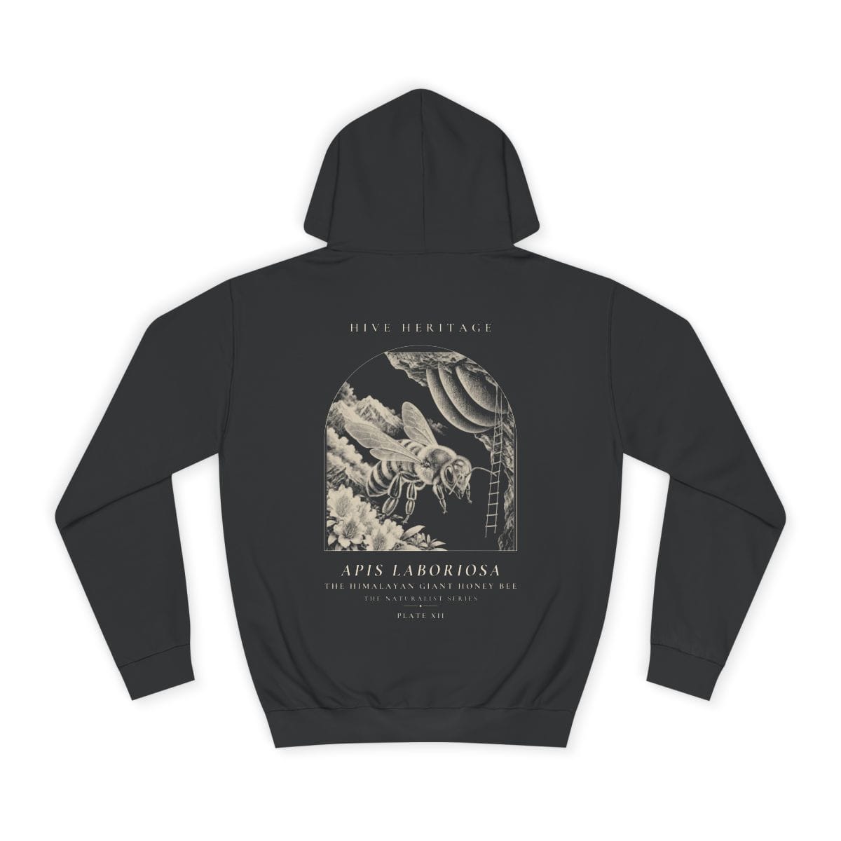 The Himalayan Giant Honey Bee - Naturalist Heavyweight Hoodie in Jet Black