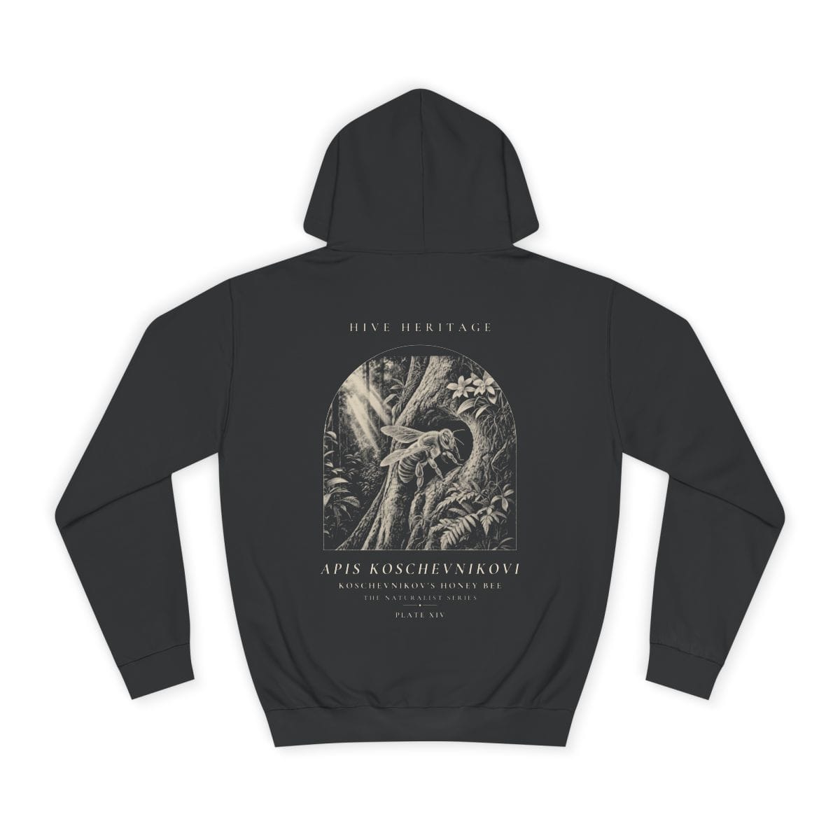 Koschevnikov's Honey Bee - Naturalist Heavyweight Hoodie · Jet Black / S