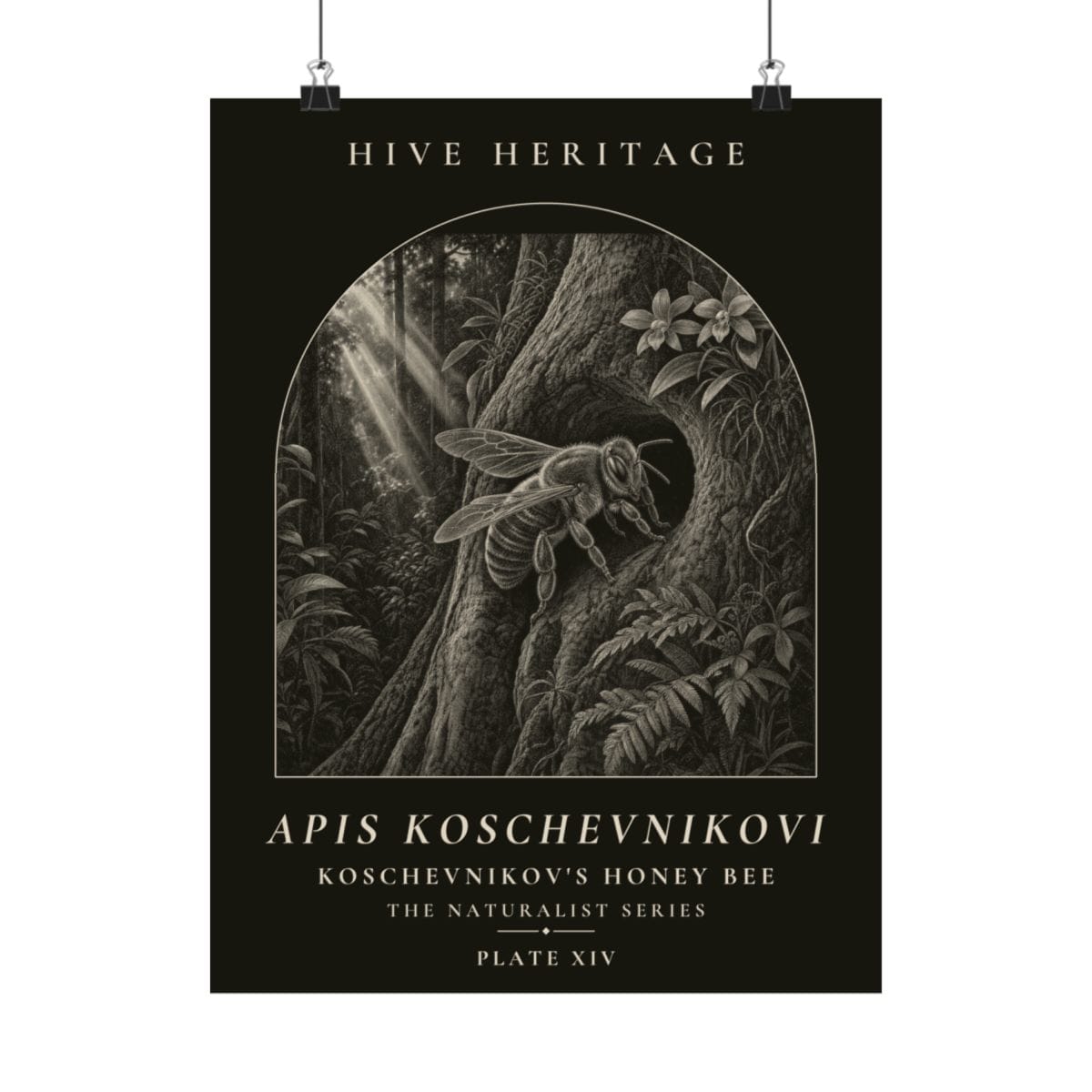 Koschevnikov's Honey Bee Naturalist Print photograph 4