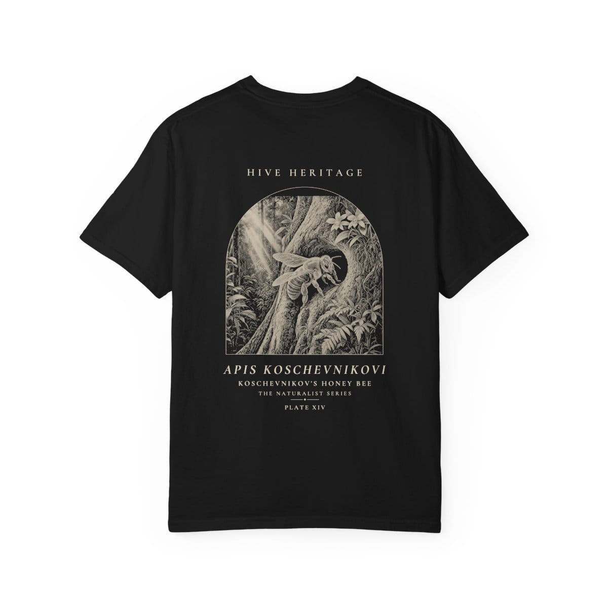 Koschevnikov's Honey Bee - Naturalist Heavyweight T-Shirt · Black / S
