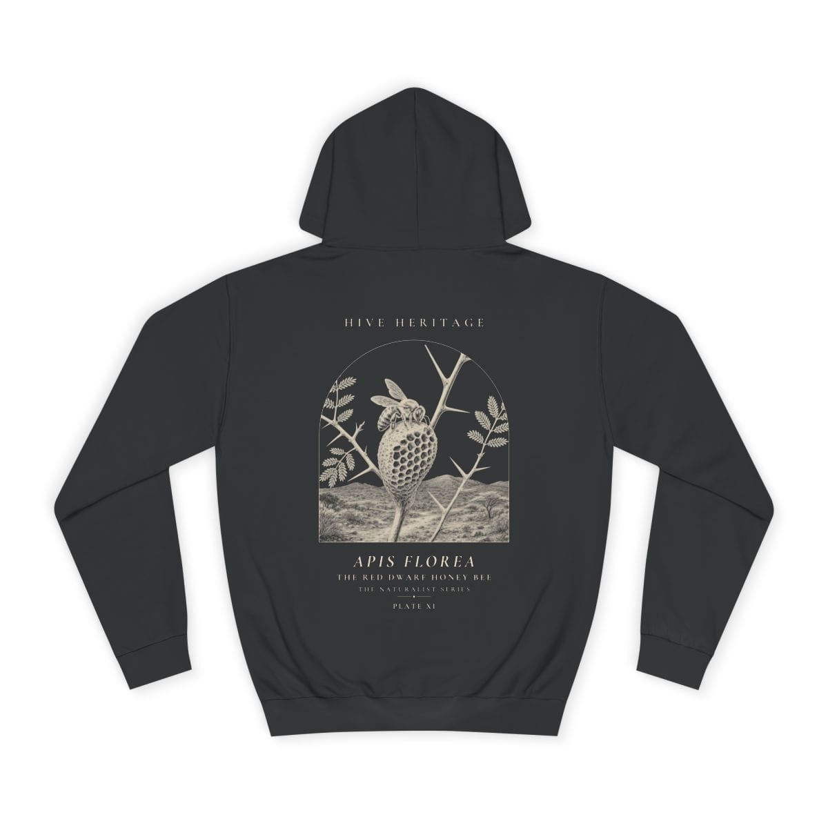 The Red Dwarf Honey Bee - Naturalist Heavyweight Hoodie in Jet Black