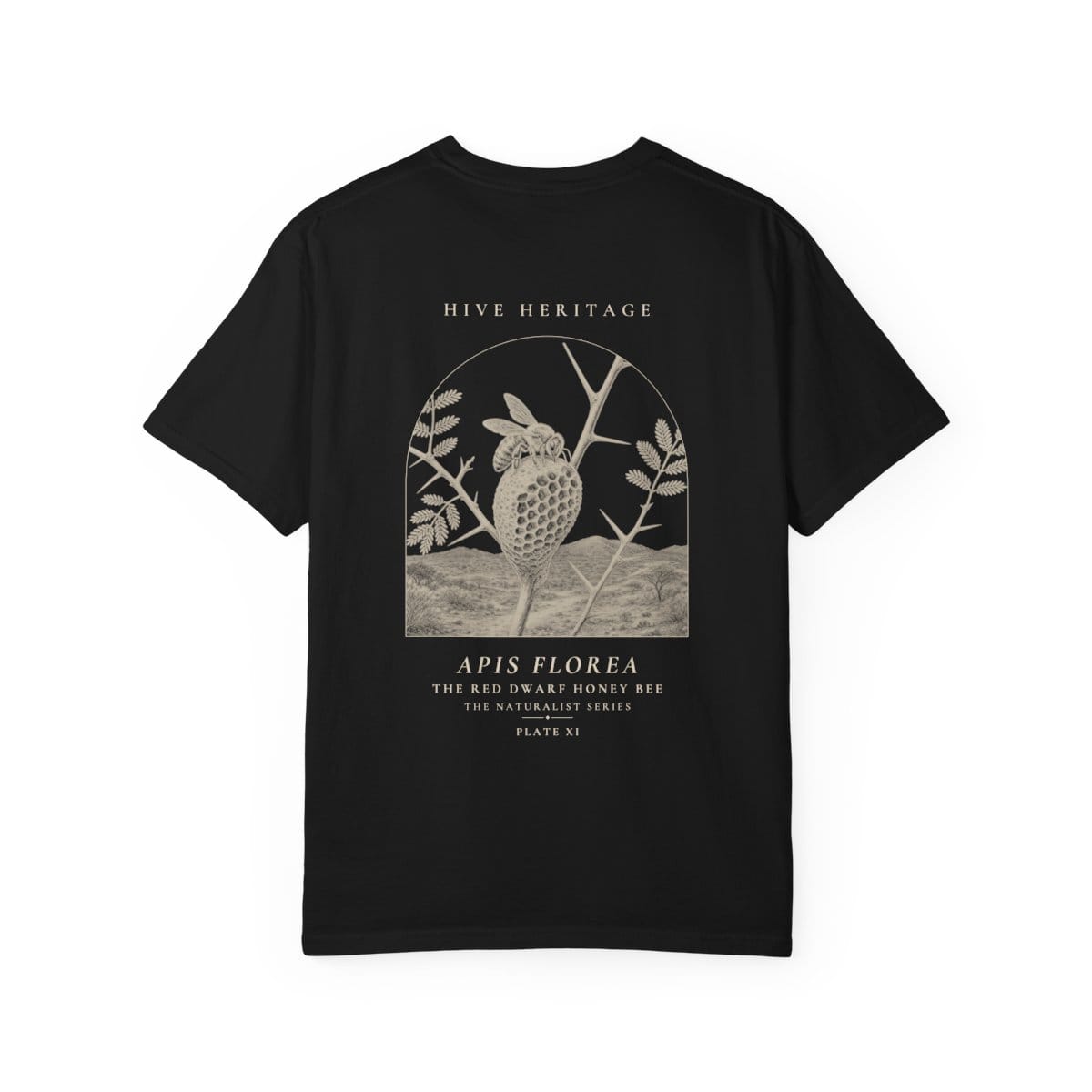 The Red Dwarf Honey Bee - Naturalist Heavyweight T-Shirt in Black