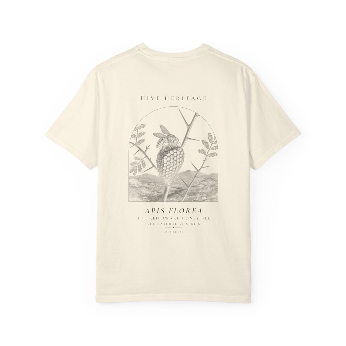 The Red Dwarf Honey Bee - Naturalist Heavyweight T-Shirt in Ivory