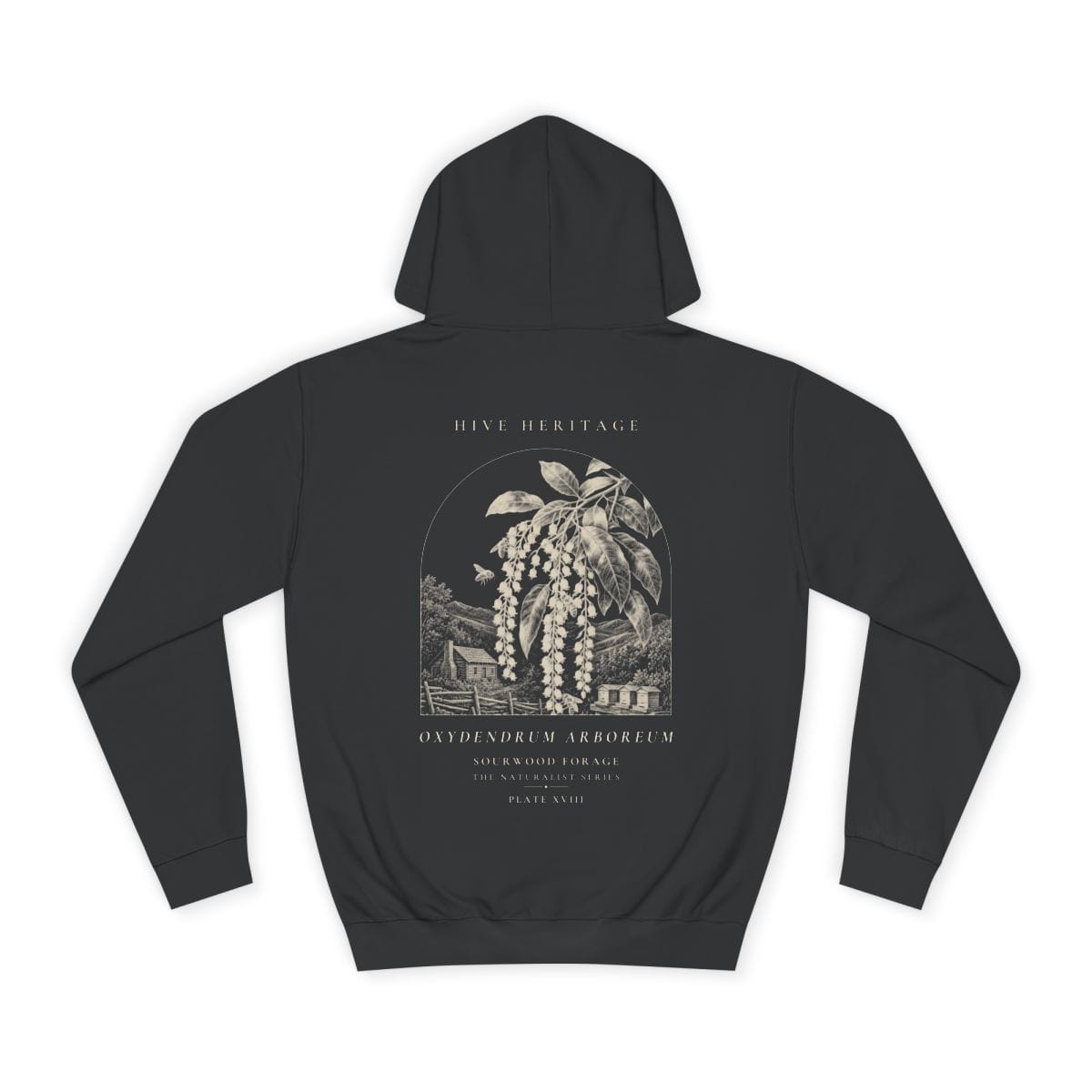 Sourwood Forage - Naturalist Heavyweight Hoodie in Jet Black