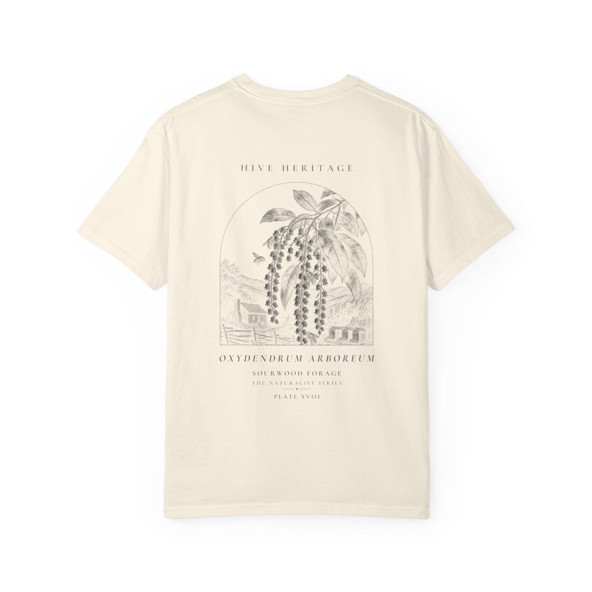 Sourwood Forage - Naturalist Heavyweight T-Shirt in Ivory