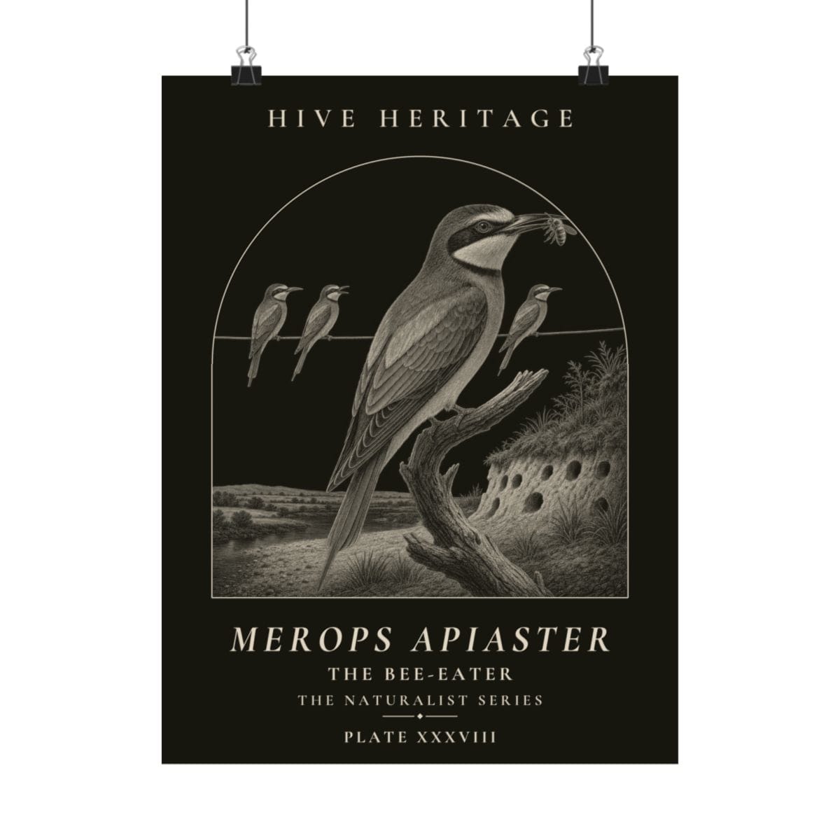 The Bee-Eater Naturalist Print photograph 4