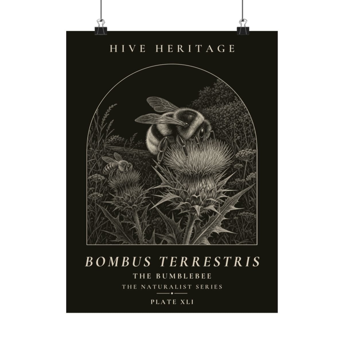 The Bumblebee Naturalist Print photograph 4