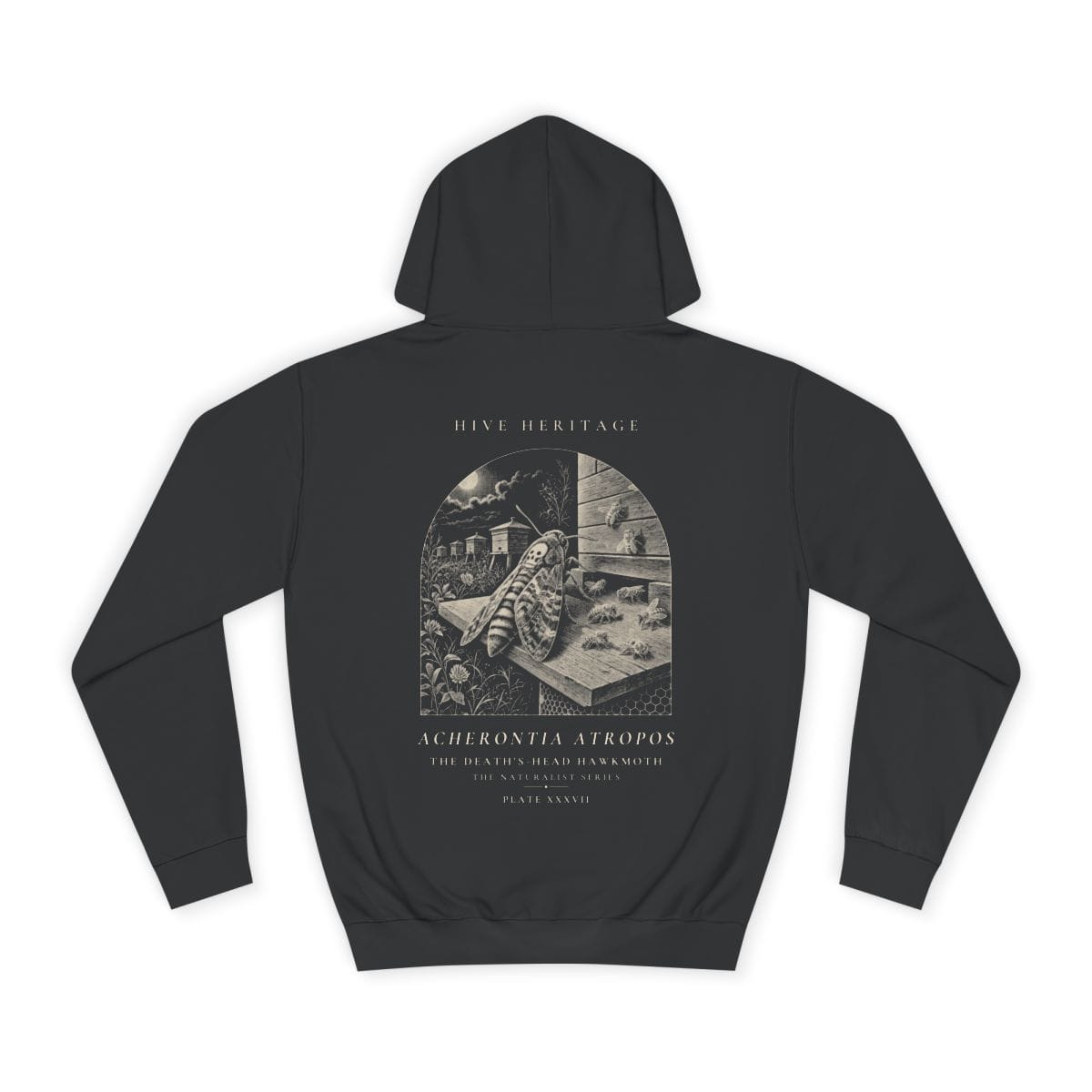 The Death's-Head Hawkmoth - Naturalist Heavyweight Hoodie in Jet Black