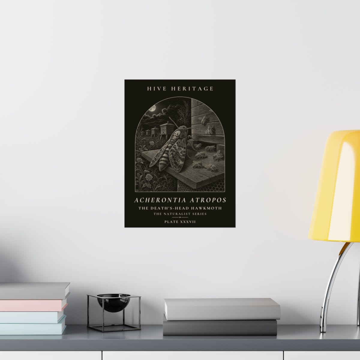 The Death's-Head Hawkmoth Naturalist Print photograph 3