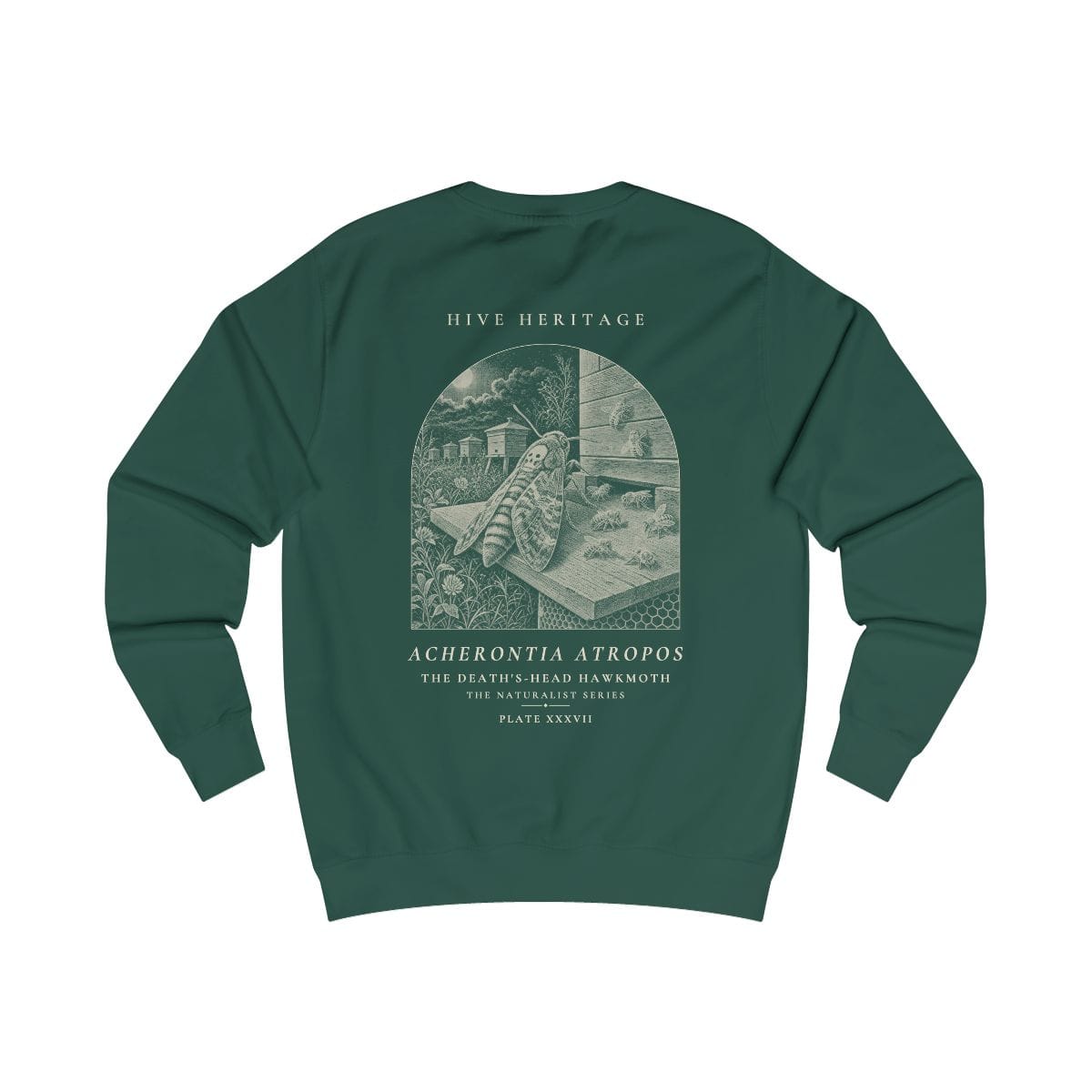 The Death's-Head Hawkmoth - Naturalist Crew Sweatshirt in Bottle Green