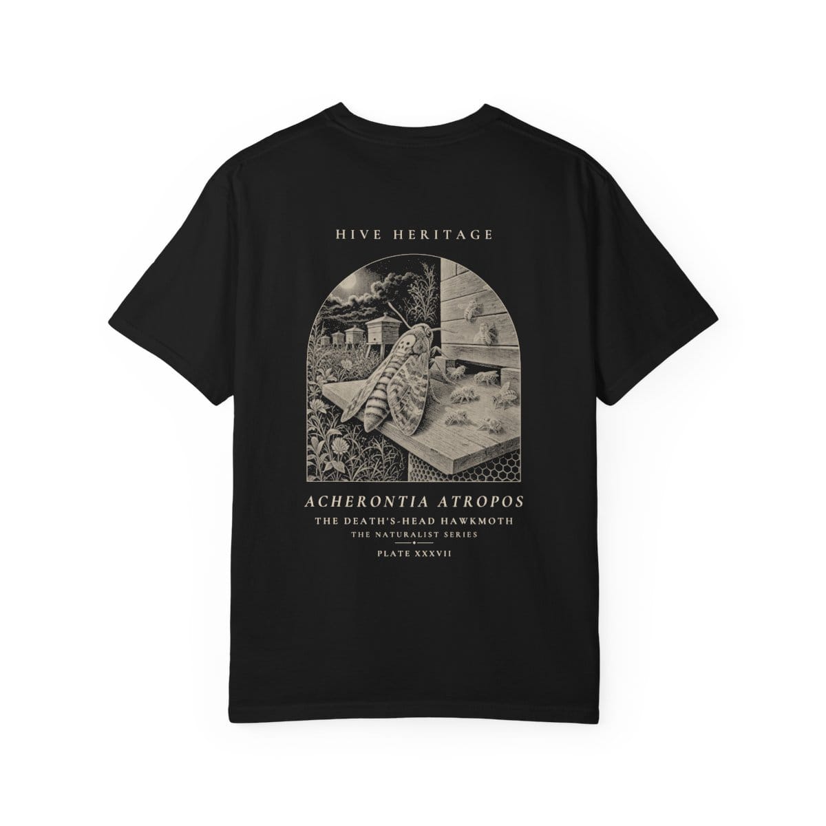 The Death's-Head Hawkmoth - Naturalist Heavyweight T-Shirt in Black