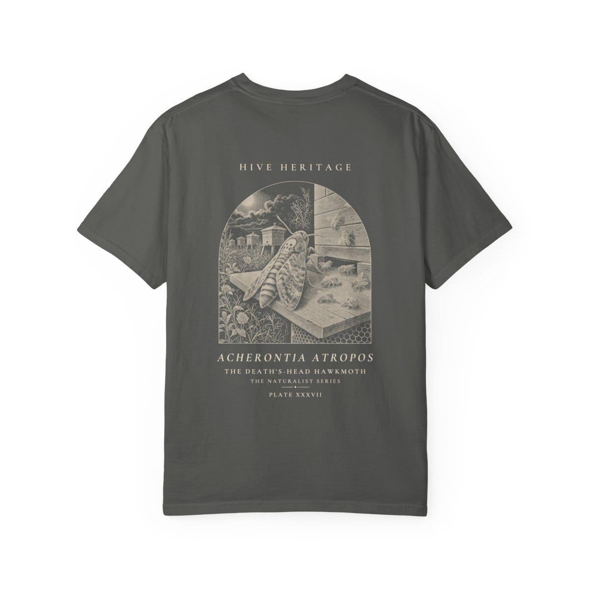 The Death's-Head Hawkmoth - Naturalist Heavyweight T-Shirt in Pepper