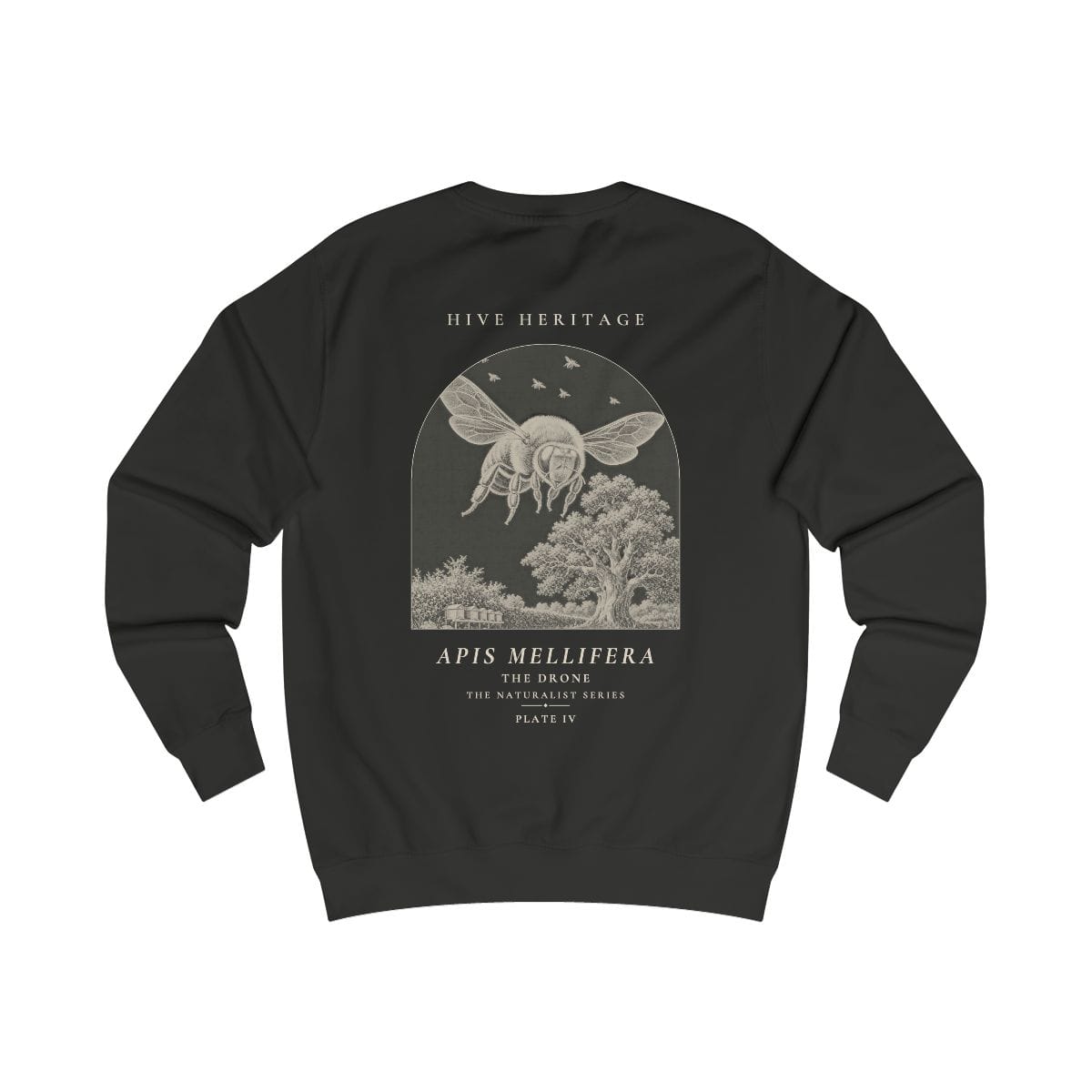 The Drone - Naturalist Crew Sweatshirt in Jet Black