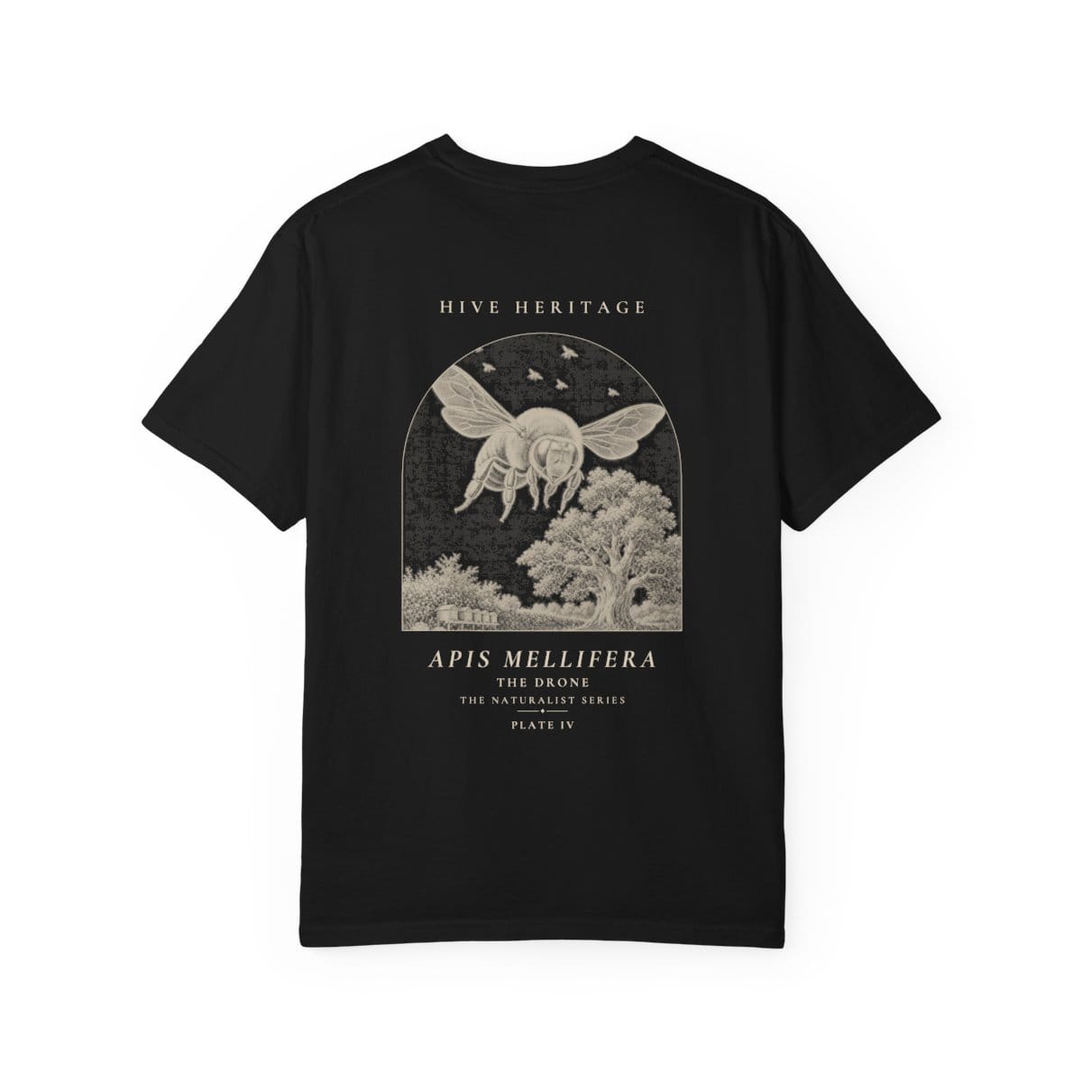 The Drone - Naturalist Heavyweight T-Shirt · Black / S