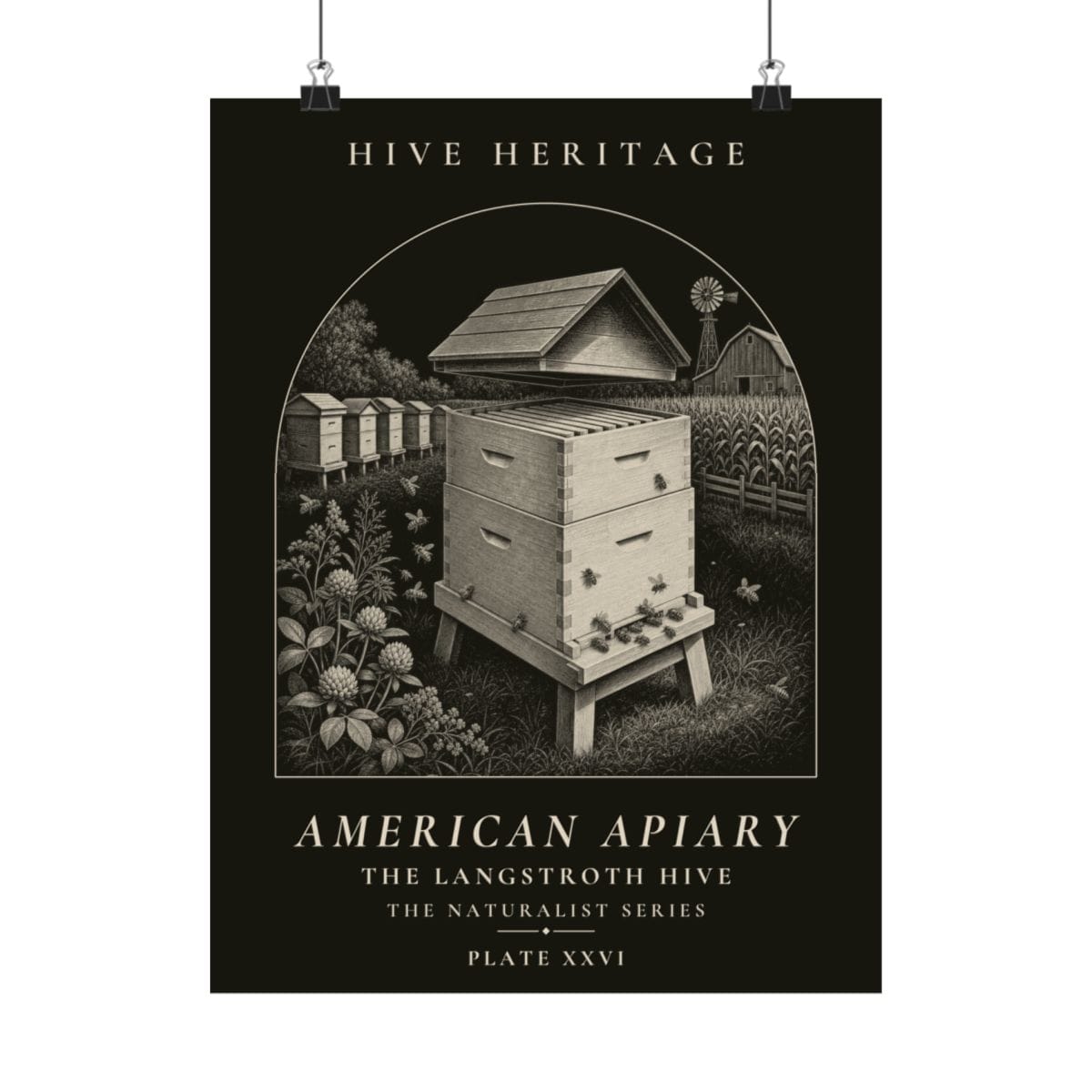 The Langstroth Hive Naturalist Print photograph 4
