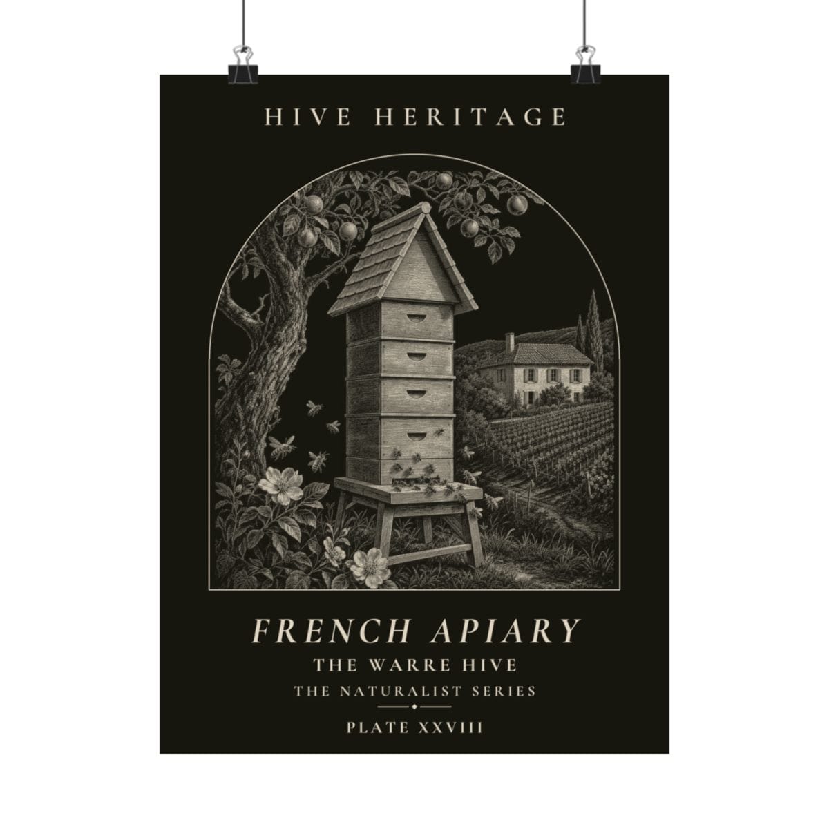 The Warre Hive Naturalist Print photograph 4