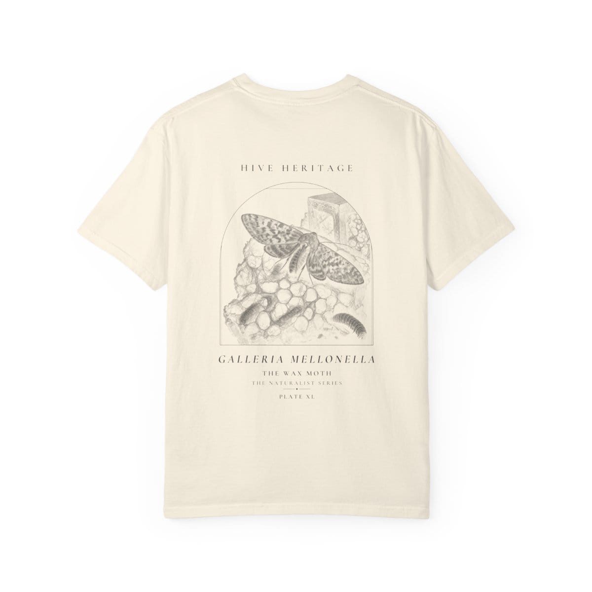 The Wax Moth - Naturalist Heavyweight T-Shirt in Ivory
