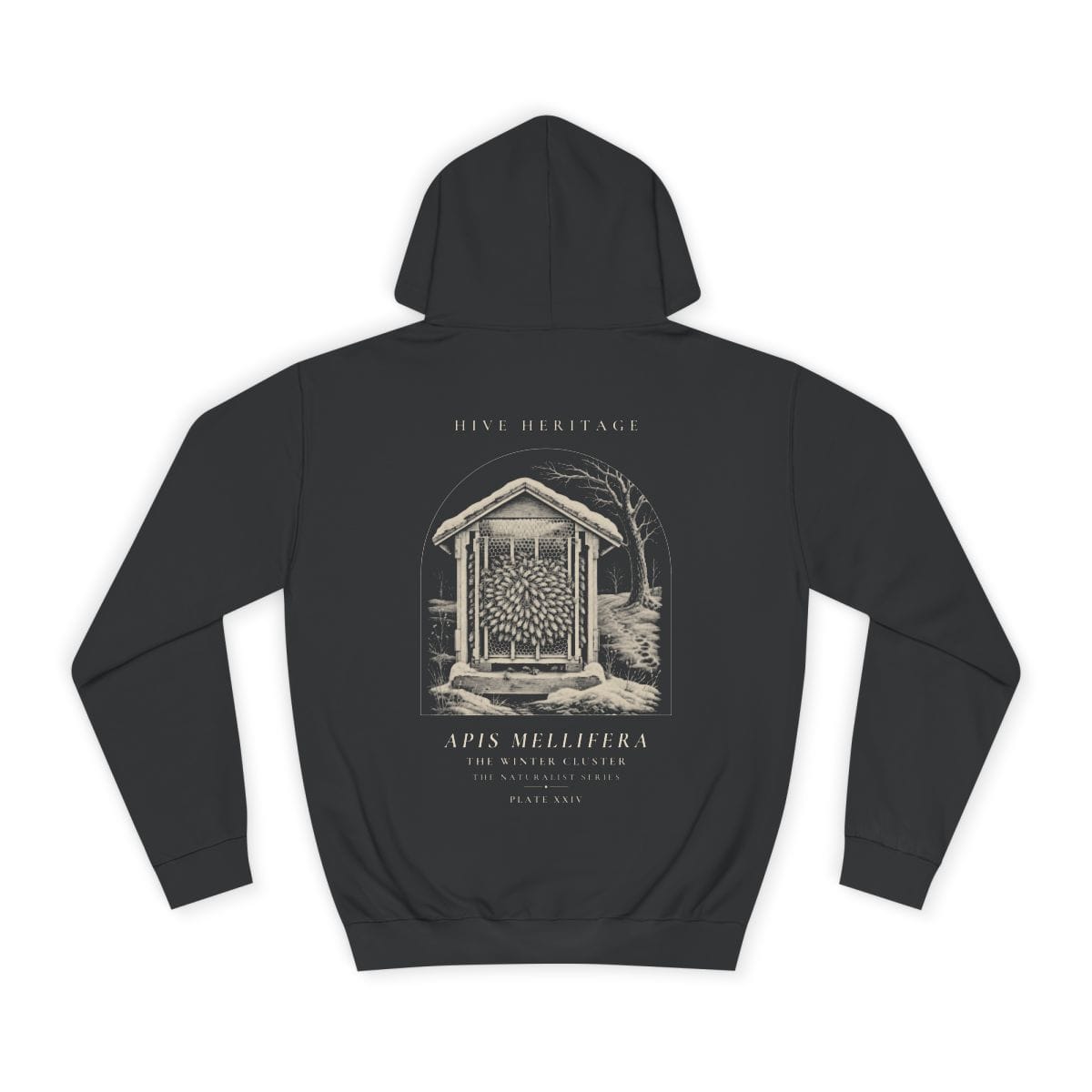 The Winter Cluster - Naturalist Heavyweight Hoodie in Jet Black