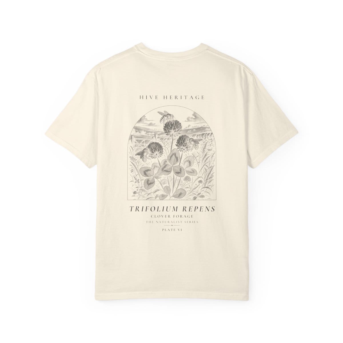 Clover Forage - Naturalist Heavyweight T-Shirt in Ivory