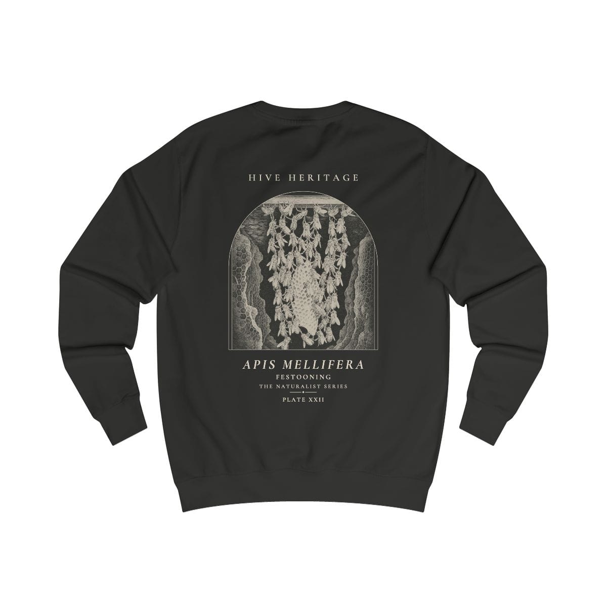 Festooning - Naturalist Crew Sweatshirt in Jet Black