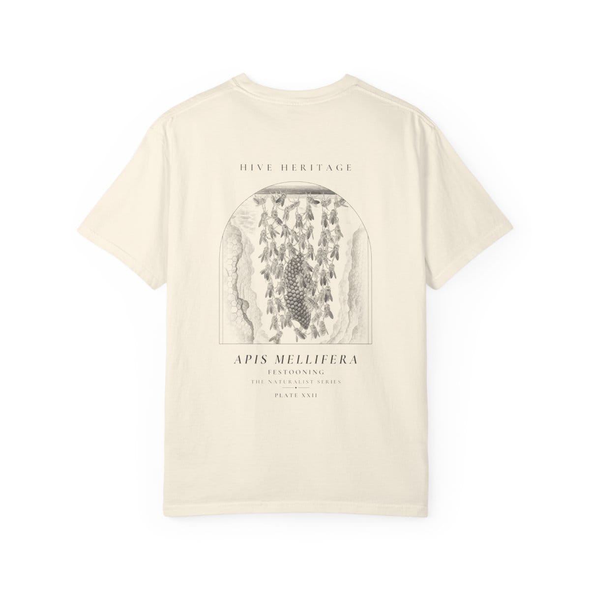Festooning - Naturalist Heavyweight T-Shirt in Ivory
