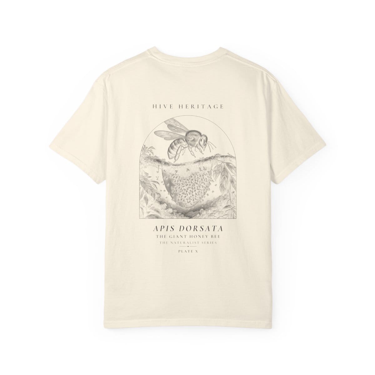 The Giant Honey Bee - Naturalist Heavyweight T-Shirt in Ivory