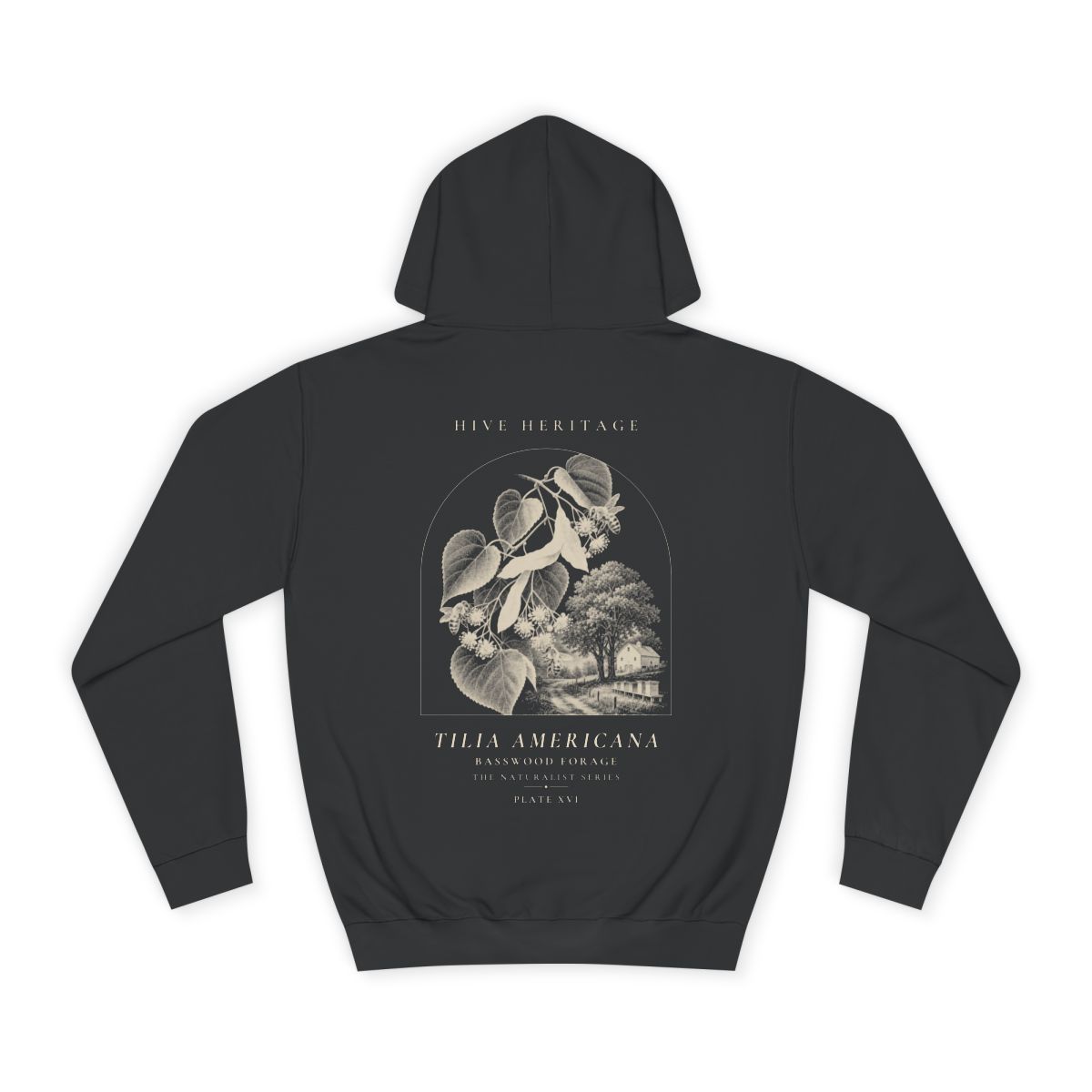 Basswood Forage - Naturalist Heavyweight Hoodie