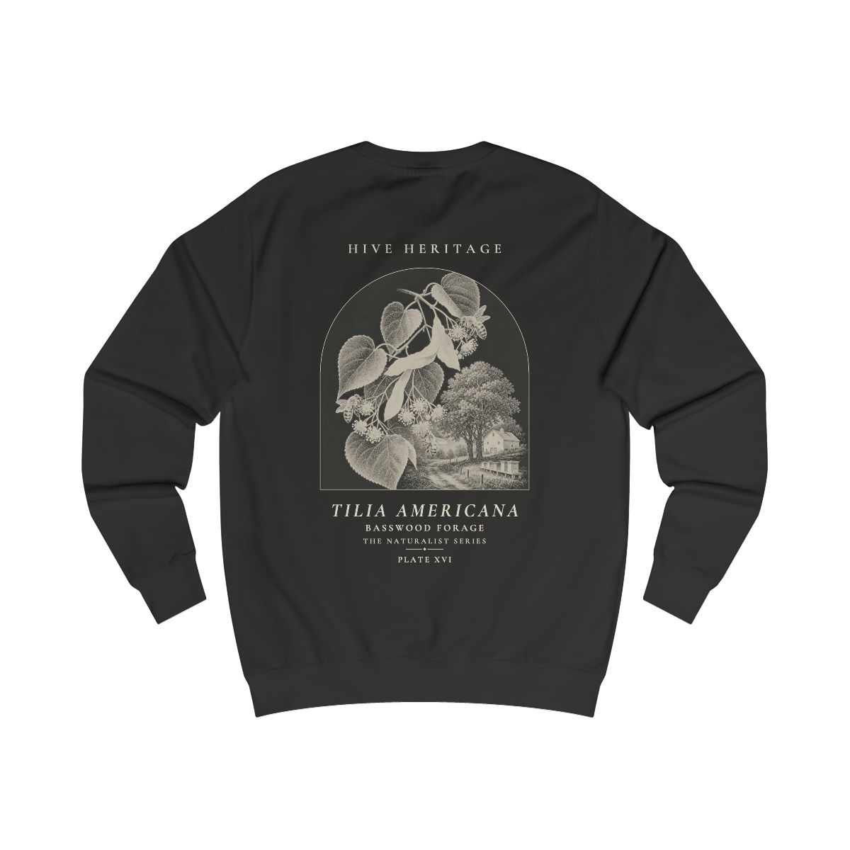 Basswood Forage - Naturalist Crew Sweatshirt