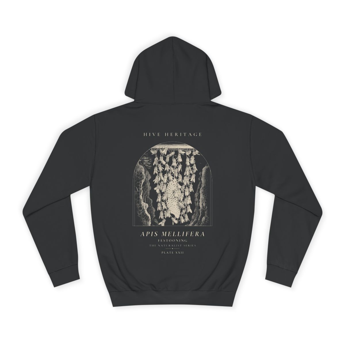 Festooning - Naturalist Heavyweight Hoodie